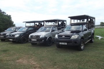 Special leopards safari Yala National park - 04.30 am to 11.30 am