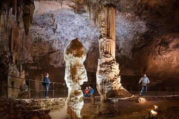 Shore Excursion to Postojna Cave - Slovenia's famous attraction