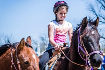 Pony Lead a Fun Experience for Young Children