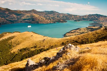 Private Day Scenic Excursion to Akaroa/Christchurch ex Lyttelton