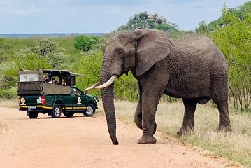 Kruger National Park Full Day Private safari