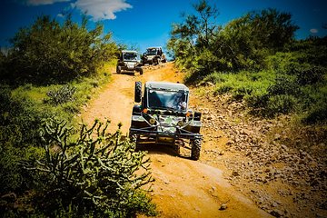 3 Hour Guided TomCar ATV Tour in Sonoran Desert