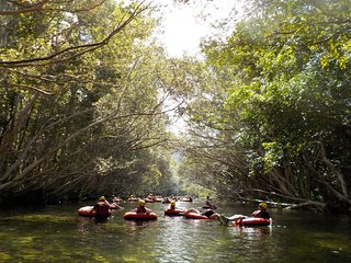 Rainforest River Tubing from Cairns