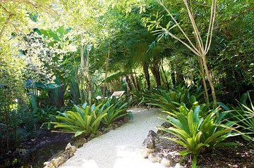 Queen Elizabeth II Botanic Park and Pedro St James Castle Tour in Grand Cayman
