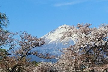Mt. Fuji, visit where all the Japanese people belong (chartered taxi tour)