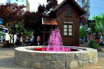 Transfer from Rio Grande do Sul to airports.