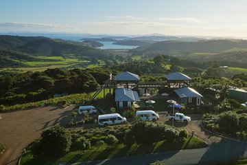 Waiheke Island: Zipline And Forest Walk