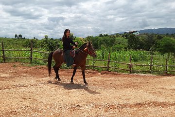 Quarter Day Adventure