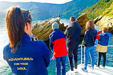 Marlborough Sounds Ultimate Cruise 