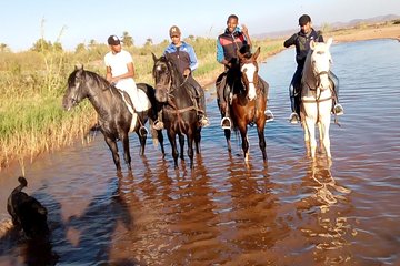 Ride the cast of famous Hollywood movies on set in their natural environment!