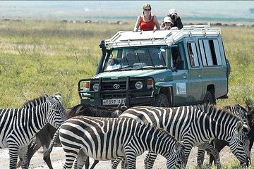2 Days Joined Group Tarangire and Ngorongoro Crater National Park