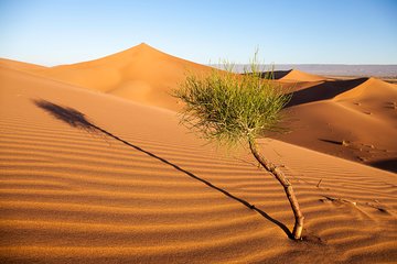 Budget Erg Chegaga Safari