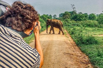 Sri Lanka tour itinerary . 6N/7D with driver, vehicle and H/B accommodations