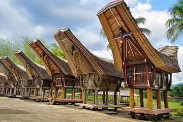 4 Days Toraja Cultural Tour from Makassar: Tongkonan Houses to Toraja Funerals