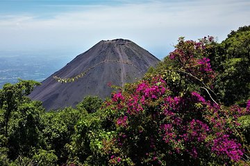 2 Different Sightseeing in 1 Day Tour - Volcanoes Park and Two Mayan Sites.