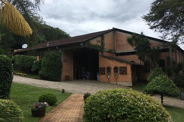 Pinto Bandeira RS Wineries Tour