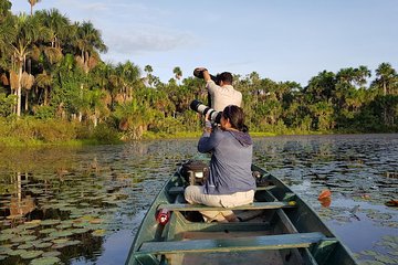 Tambopata 3 Days 2 nights with Chuncho Macaws clay lick by JunglePro
