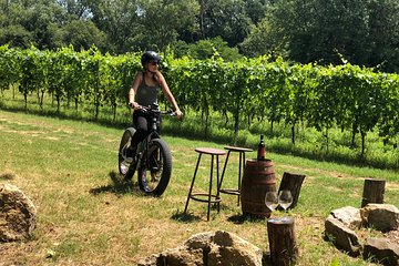 Wine Tour Ebike Experience
