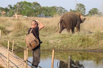Sunrise Elephant Bush Walk