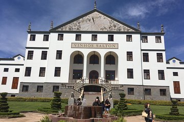 Rio das Antas Valley Tour in Bento Gonçalves RS
