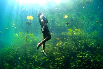 Xcaret Cenotes Guided Tour with Priority Acces, Lunch and Drinks