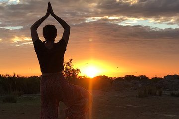 Moshi sunset experience 