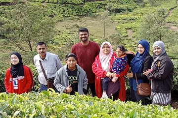 Ooty & Kodaikanal Tour - 5n6d