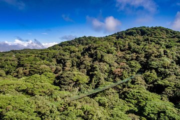Hanging Bridges & Tour Guide From Monteverde