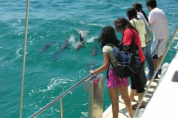 Dolphin Watch + Sailing - Port Stephens