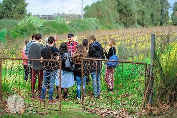 The Ultimate Wine Experience