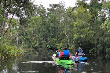 Self-Guided Kayaking: Real Florida Adventure