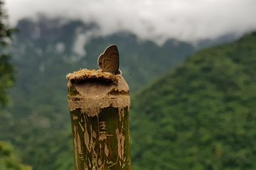 4D/3N Glimpse of Meghalaya