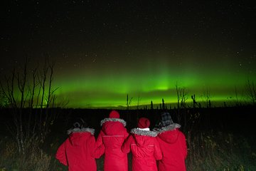 Anchorage Northern Lights Tour