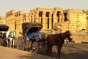 Private Luxor City tour by Horse Carriage