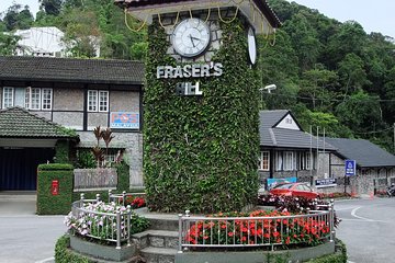 Chauffeur: Johor Bahru to Fraser's Hill Transfer [Car]