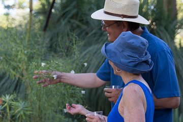 Ruth Bancroft Garden General Admission Ticket