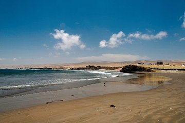 Private Tour To Learn The Beauty Of The Pacific Ocean From Nazca