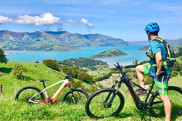 Guided Electric Mountain Bike & Sea Kayak Tour in Akaroa