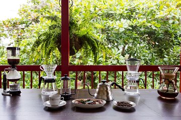 Coffee tour in the heart of the coffee region