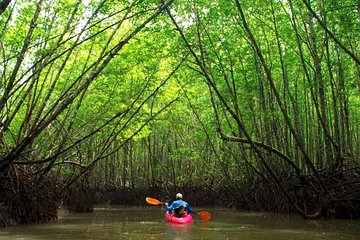 Deep mangrove and canyon Kayak Tour in Krabi
