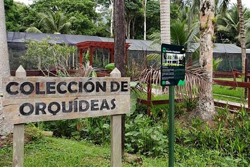 Lancetilla Botanical Garden