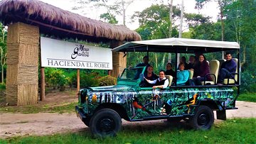 Private Tour - Coffee Tour (Cultivations)