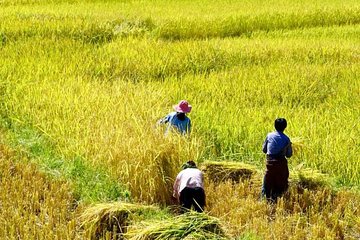 Bhutan Vacation (5 Nights-6 Days)