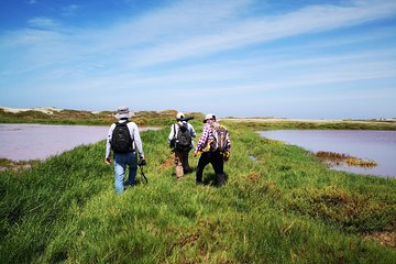 Nature tour, Pómac Forest with picnic breakfast included.
