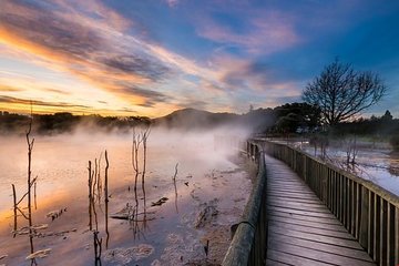 6 hour Small-Group Rotorua Naturally Shore Excursion From Tauranga