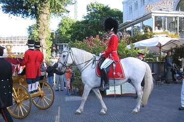 3h walking tour, small group max 10 people Copenhagen