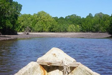 Mida Creek Boardwalk and Canoa Ride