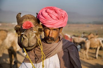 Private One Way Transfer From Pushkar To Jaipur In AC Vehicle