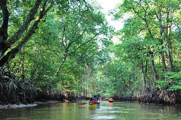 Limpaki Wetland Nature Night Walk