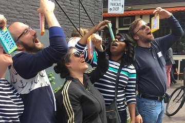 Amsterdam Highlights Small-Group Walking Tour